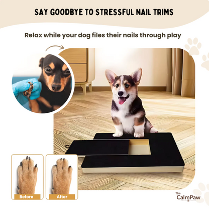 The GentlePaw™ Board