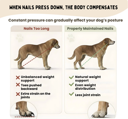 The GentlePaw™ Board